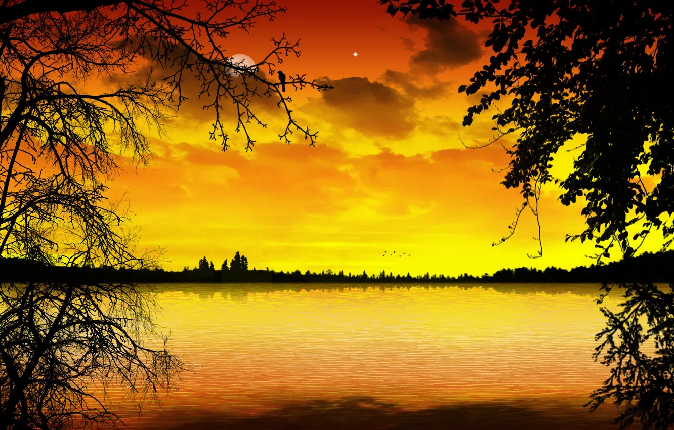 Photo wallpaper clouds, trees, landscape, surface, beauty, the evening, trees, style