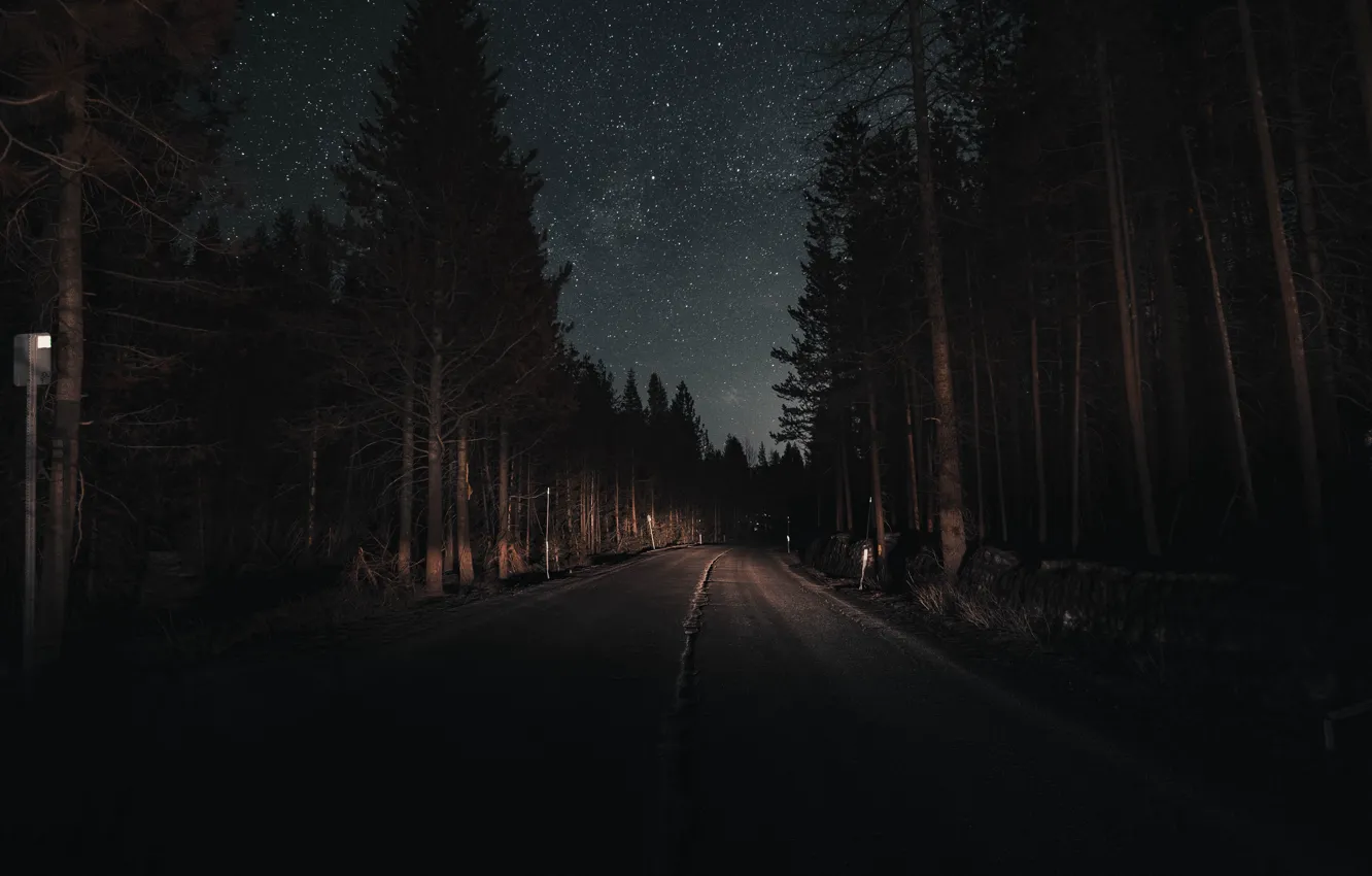 Photo wallpaper road, forest, the sky, light, trees, night, stars, pine