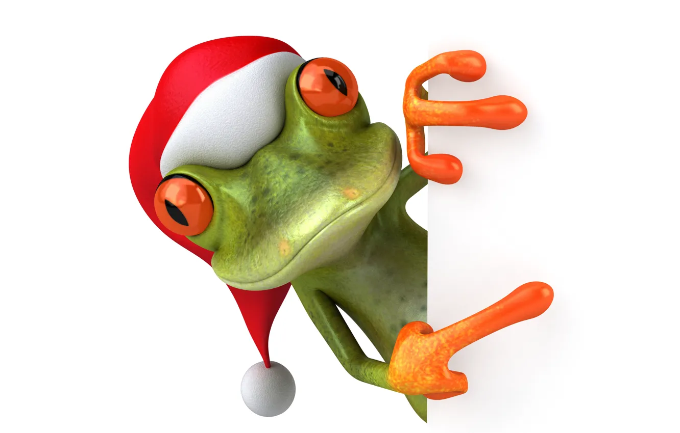 Photo wallpaper frog, christmas, frog, funny, santa hat