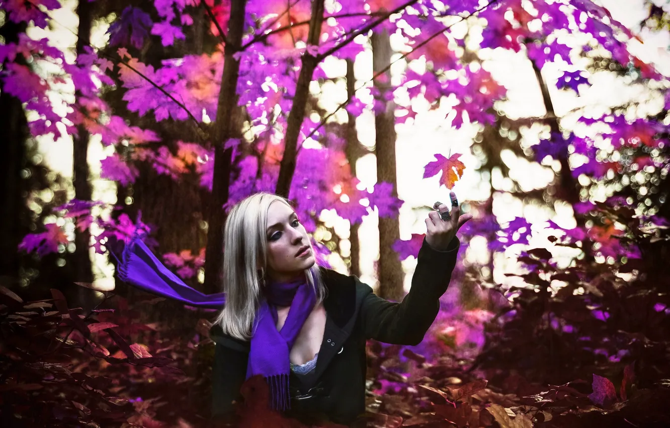 Photo wallpaper forest, girl, color