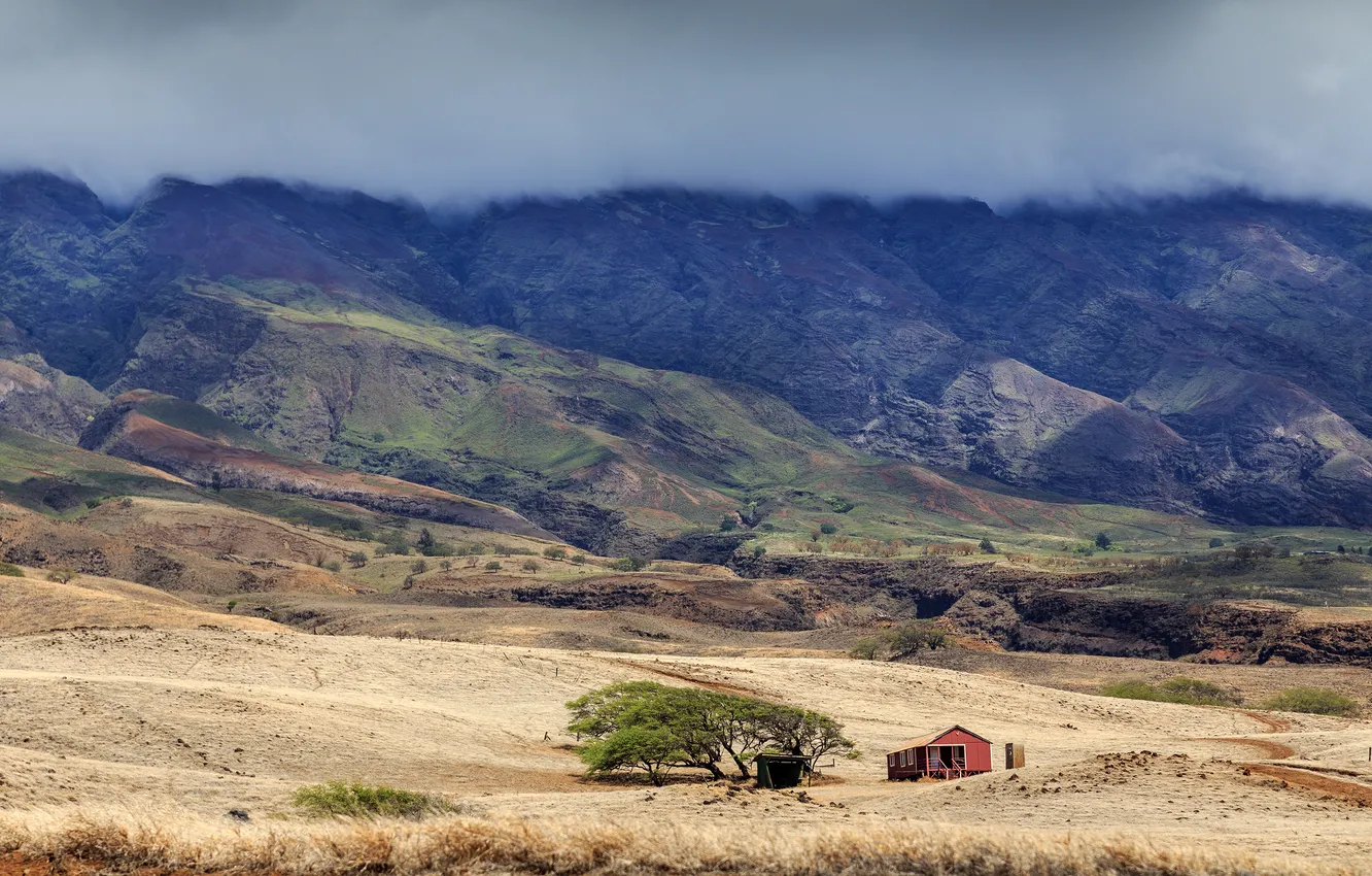 Photo wallpaper mountains, nature, home