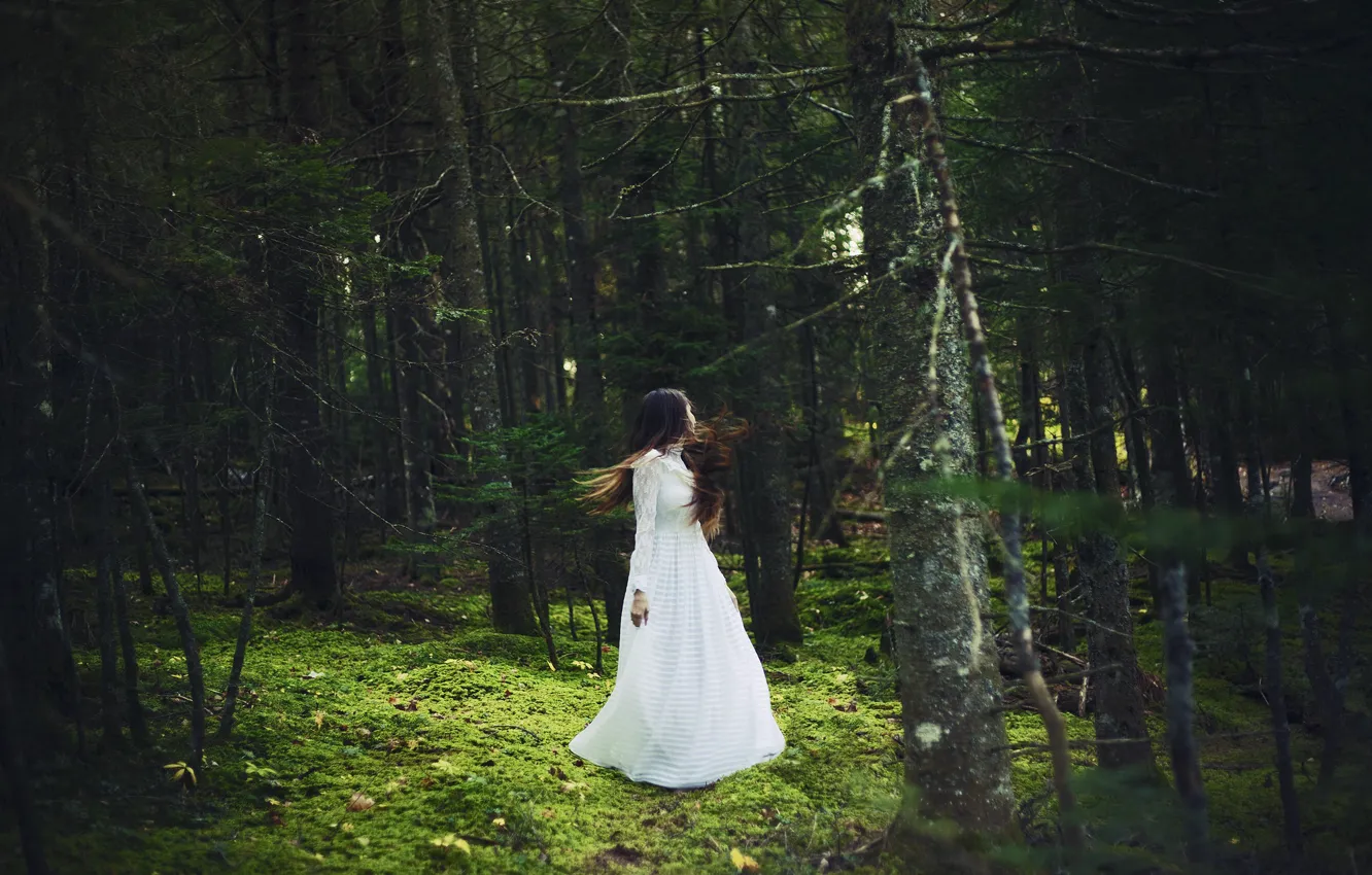 Photo wallpaper forest, girl, white dress, spinning