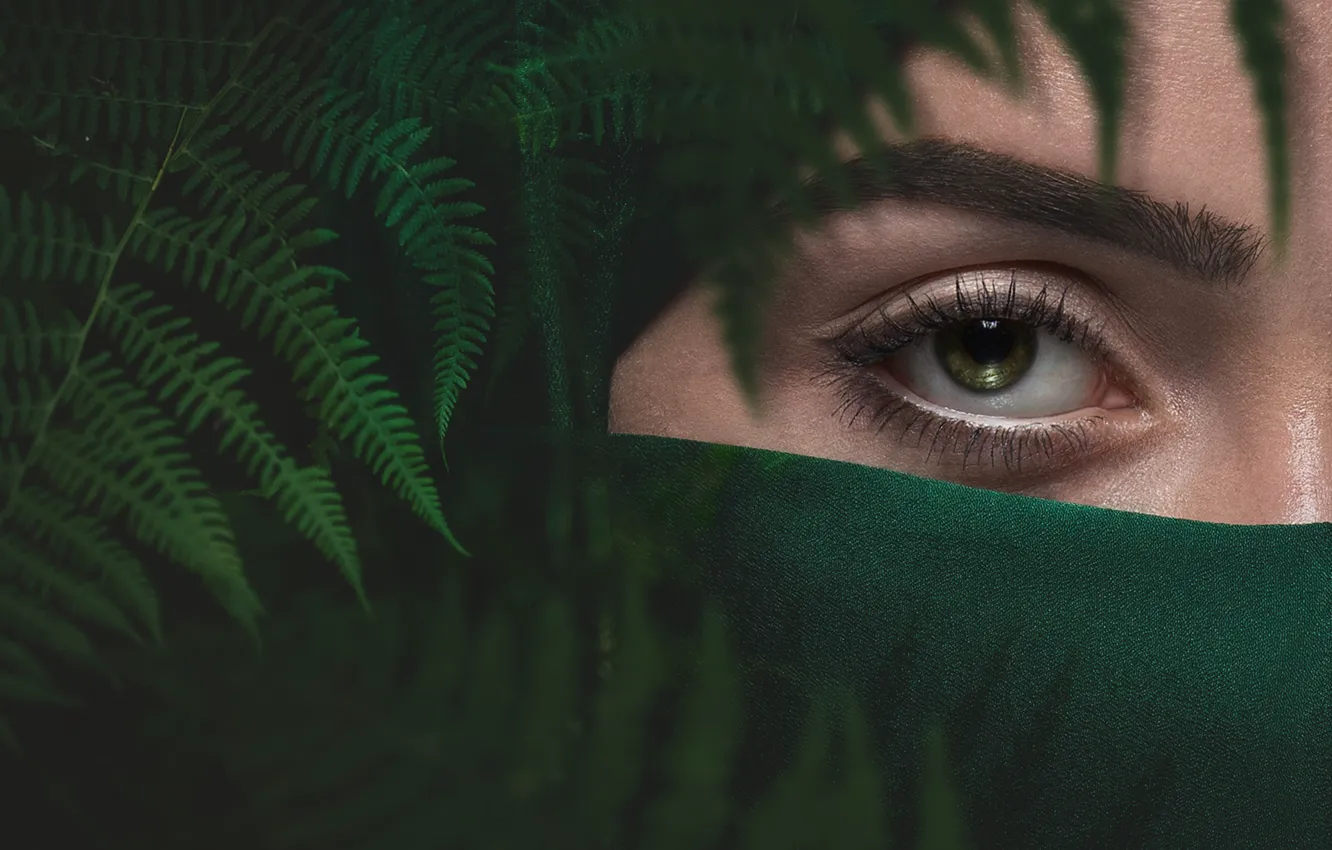 Photo wallpaper girl, green, eyes, fern, eyebrow