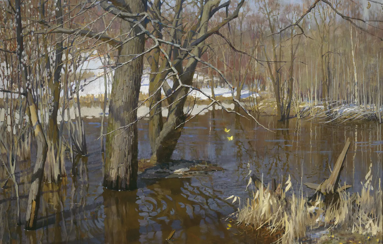 Photo wallpaper trees, 2003, Zyablov Yaroslav.water, Spill Setun