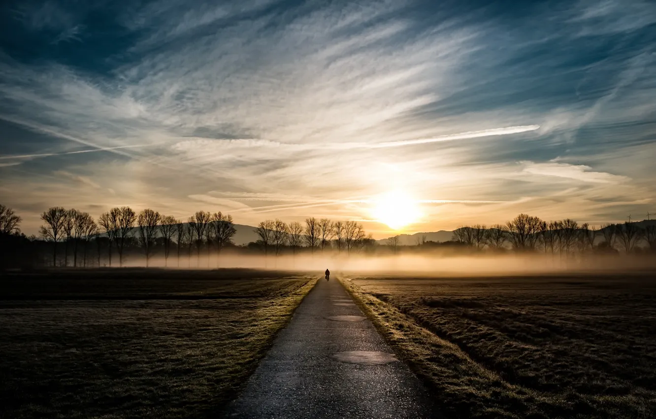 Photo wallpaper road, light, bike, fog, morning