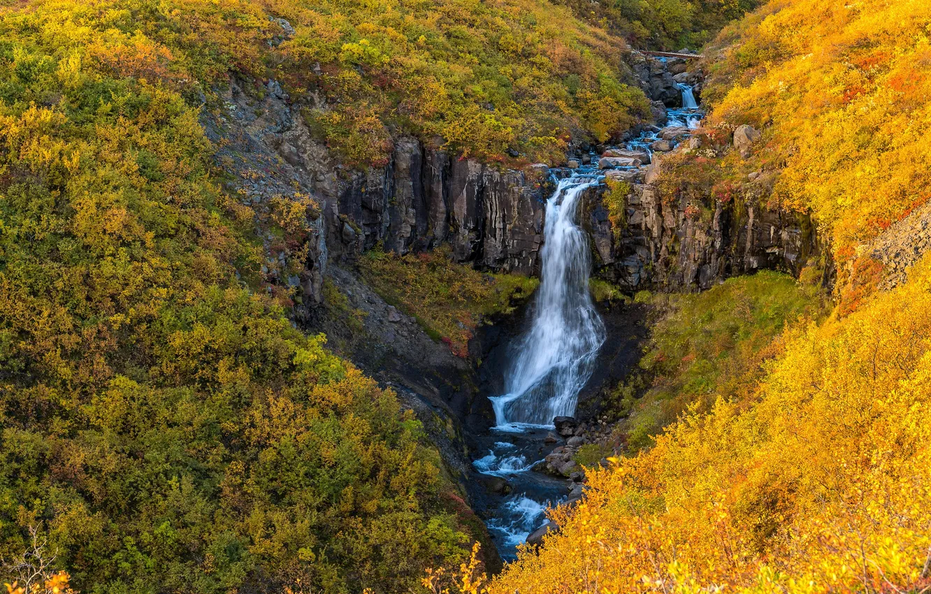 Photo wallpaper autumn, nature, Iceland, Iceland, Vatnajokull National Park, Waterfall Skaftafell, Skaftafell Waterfall, Vatnajokull National Park