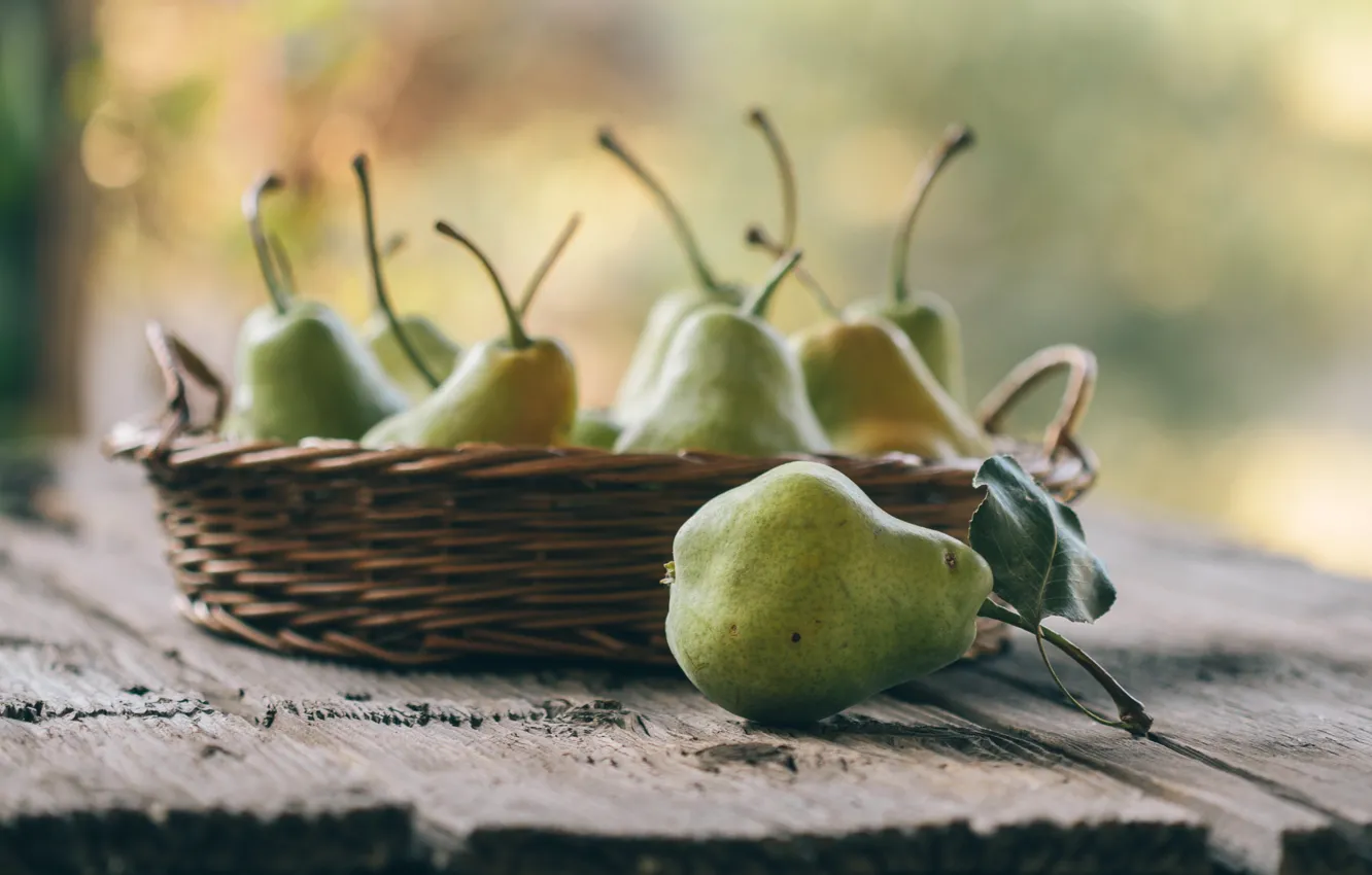 Photo wallpaper pear, fruit, pear, bokeh