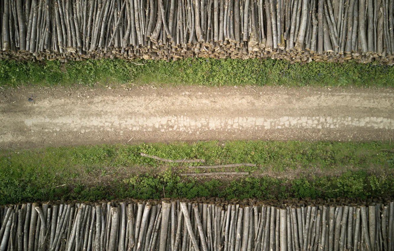 Photo wallpaper road, forest, trees, log, the view from the top, United Kingdom, forest road, UK