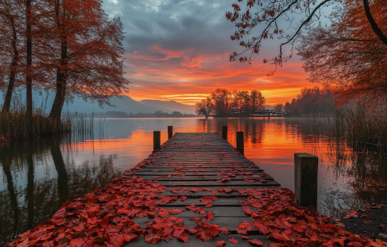 Photo wallpaper autumn, forest, clouds, sunset, mountains, branches, lake, reflection