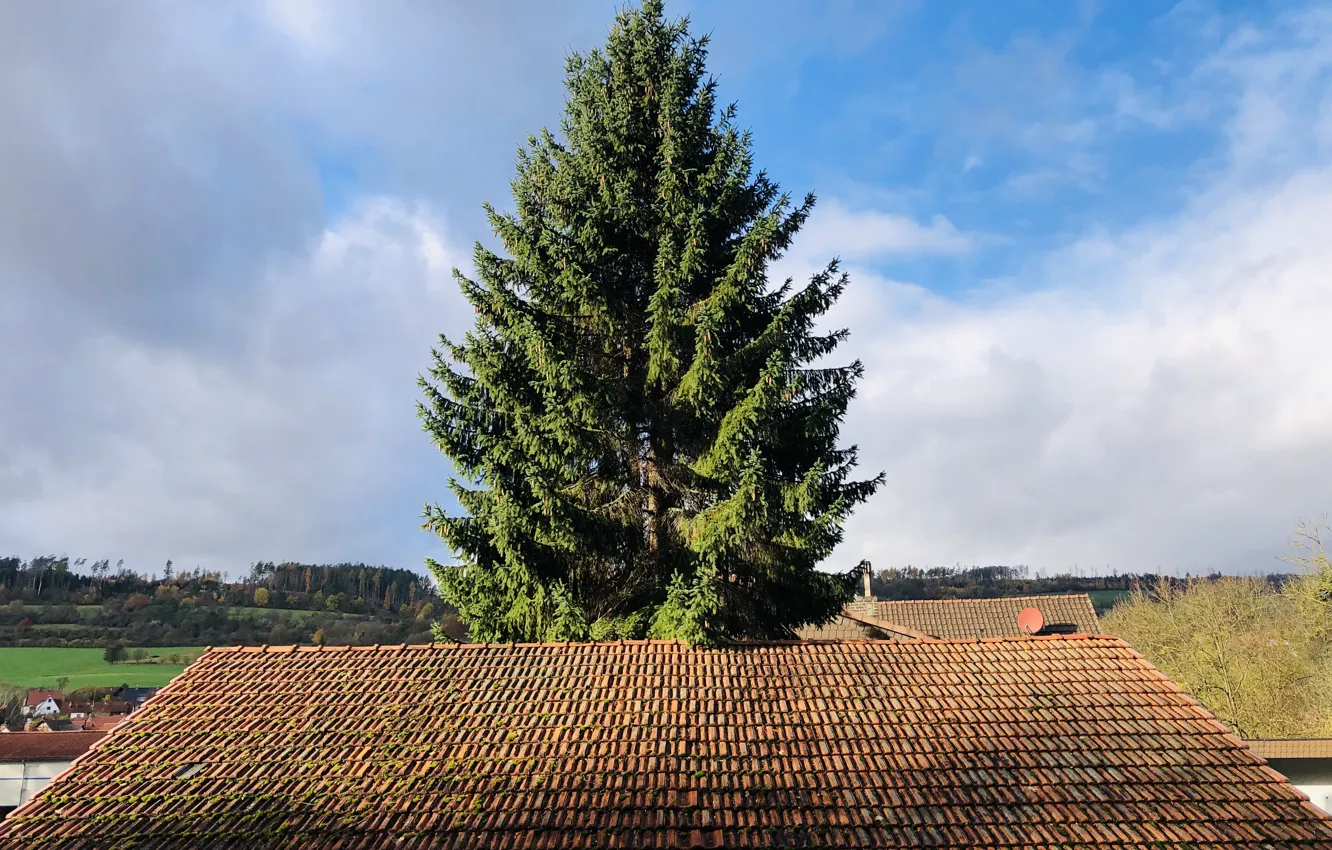 Photo wallpaper tile, trees, view, forest, The roof of the house, the sky, clouds