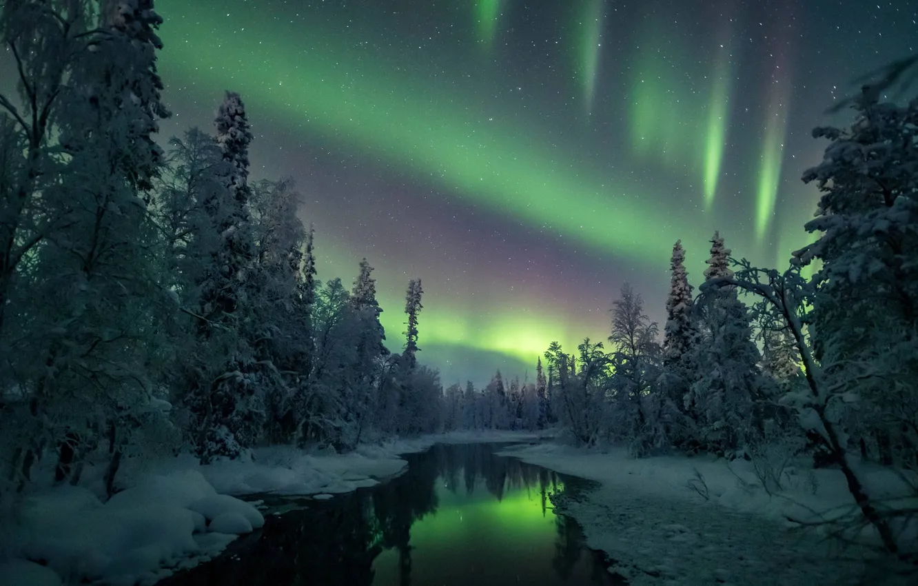 Photo wallpaper winter, forest, night, nature, river, Northern lights