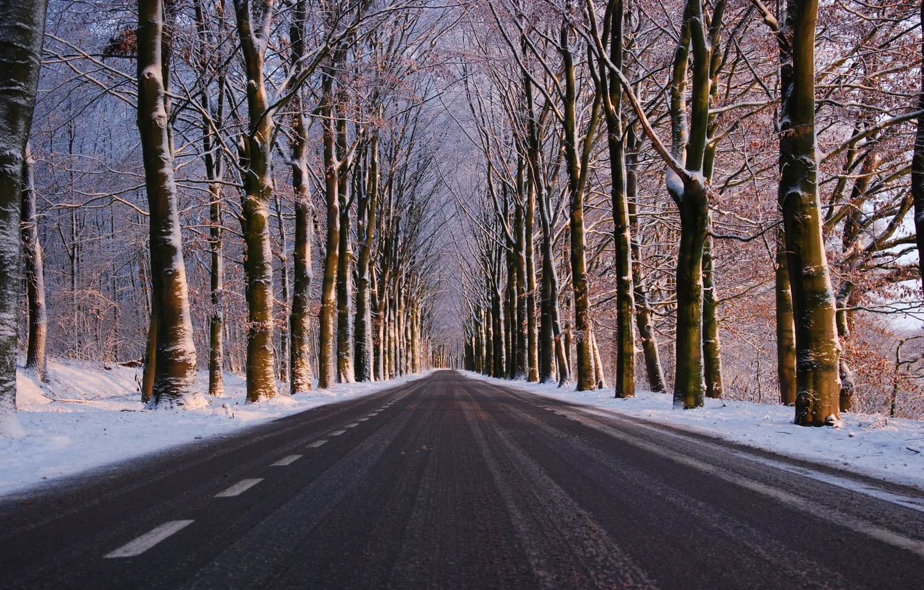 Photo wallpaper winter, road, forest, the sky, asphalt, snow, trees, landscape