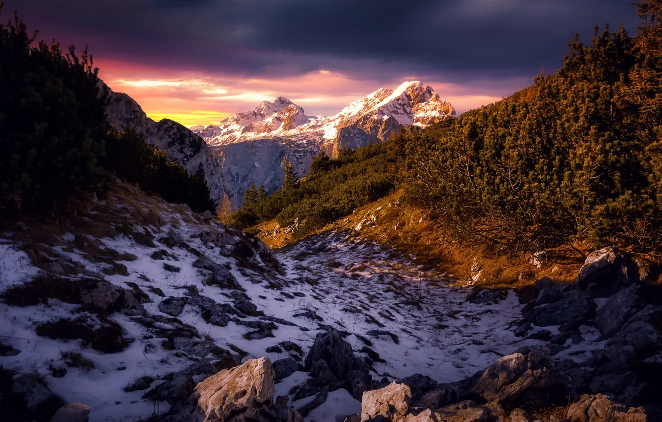 Photo wallpaper mountains, nature, morning