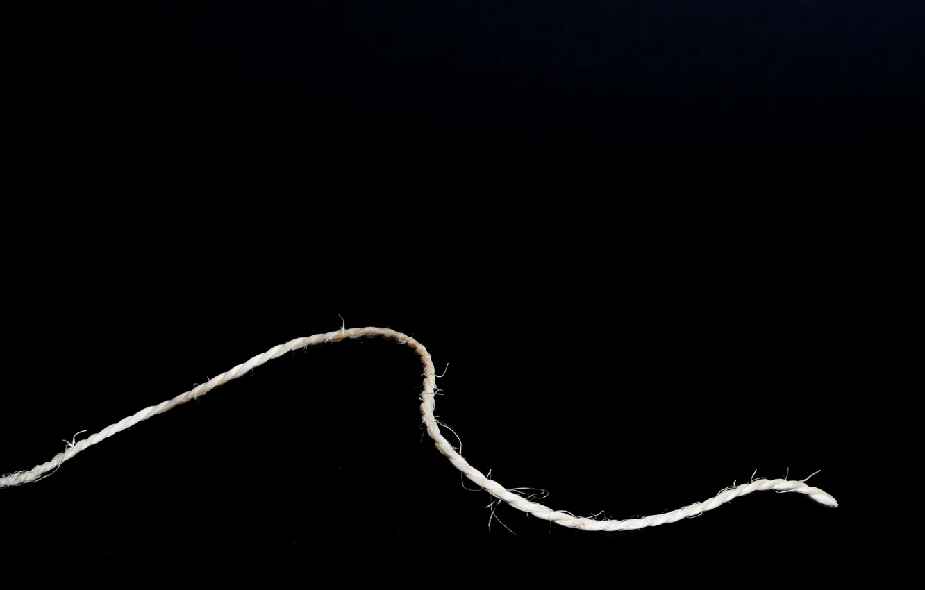 Photo wallpaper macro, background, rope