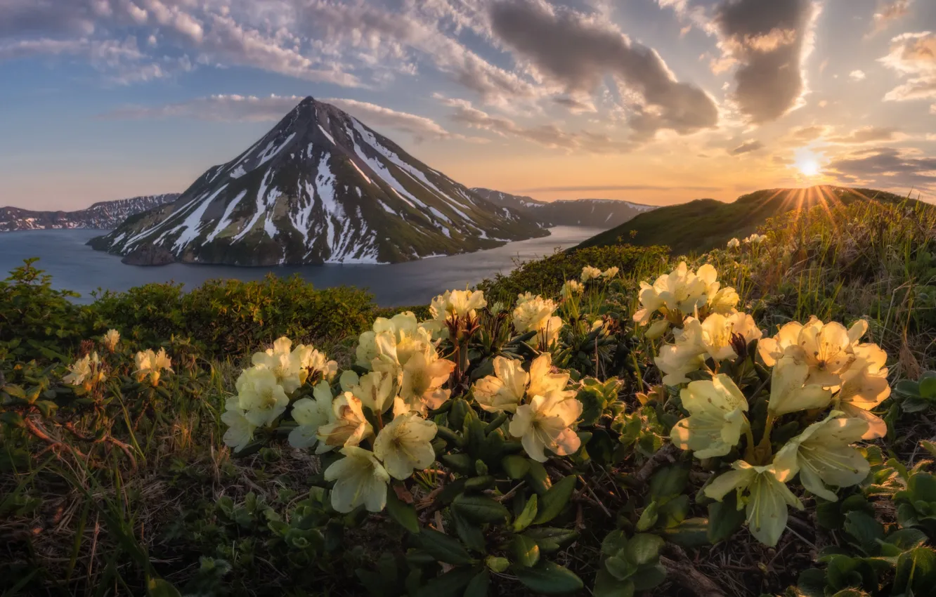 Photo wallpaper flowers, mountains, lake, sunrise, dawn, morning, the volcano, Russia