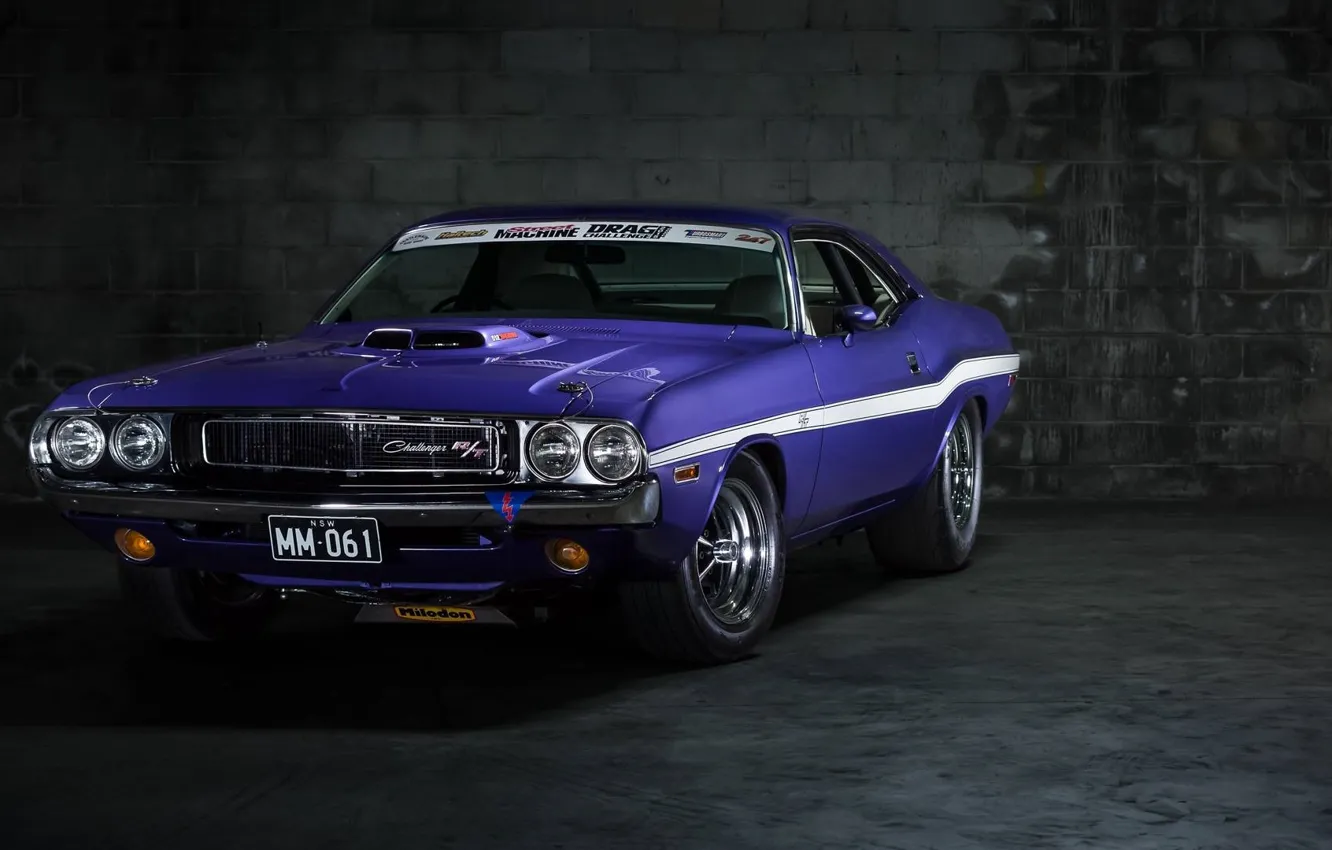 Photo wallpaper Dodge, Challenger, Purple, Dodge Challenger, Muscle car, Vehicle