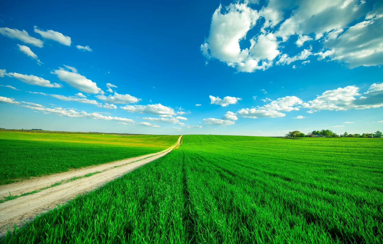 Photo wallpaper road, greens, field, the sky, grass, clouds