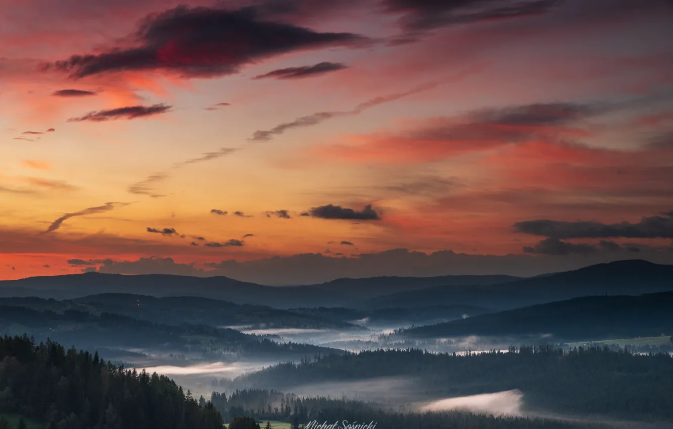 Photo wallpaper forest, the sky, sunset, mountains, Sośnicki Michael