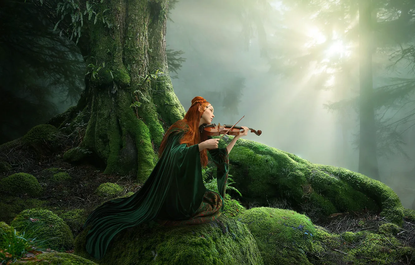 Photo wallpaper forest, girl, fog, violin, the game, fantasy, red, nymph