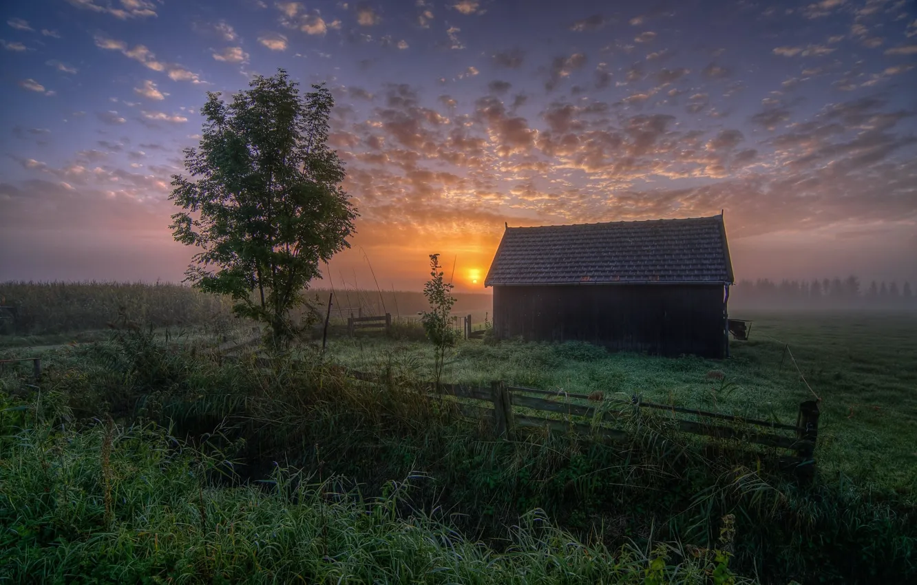 Photo wallpaper landscape, fog, house, Rosa, dawn, morning