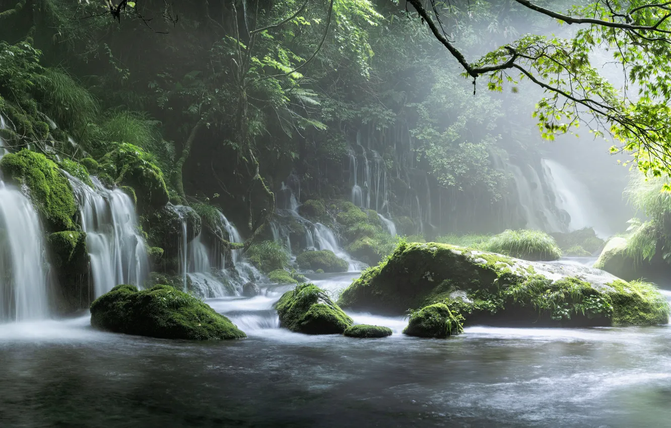Photo wallpaper branches, fog, stones, shore, waterfall, panorama, pond