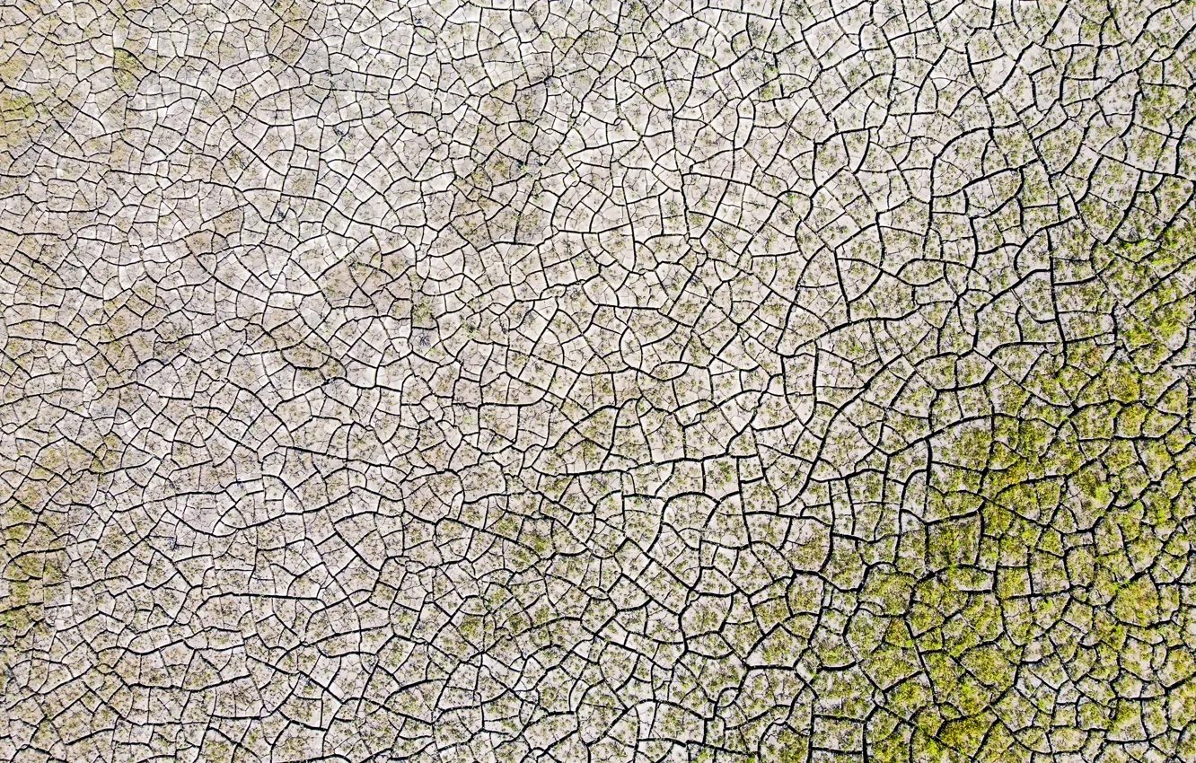 Photo wallpaper earth, texture, soil, cracked