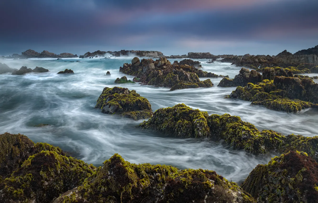 Photo wallpaper the ocean, coast, CA, Pacific Ocean, California, The Pacific ocean, Pacific Grove, Monterey Bay