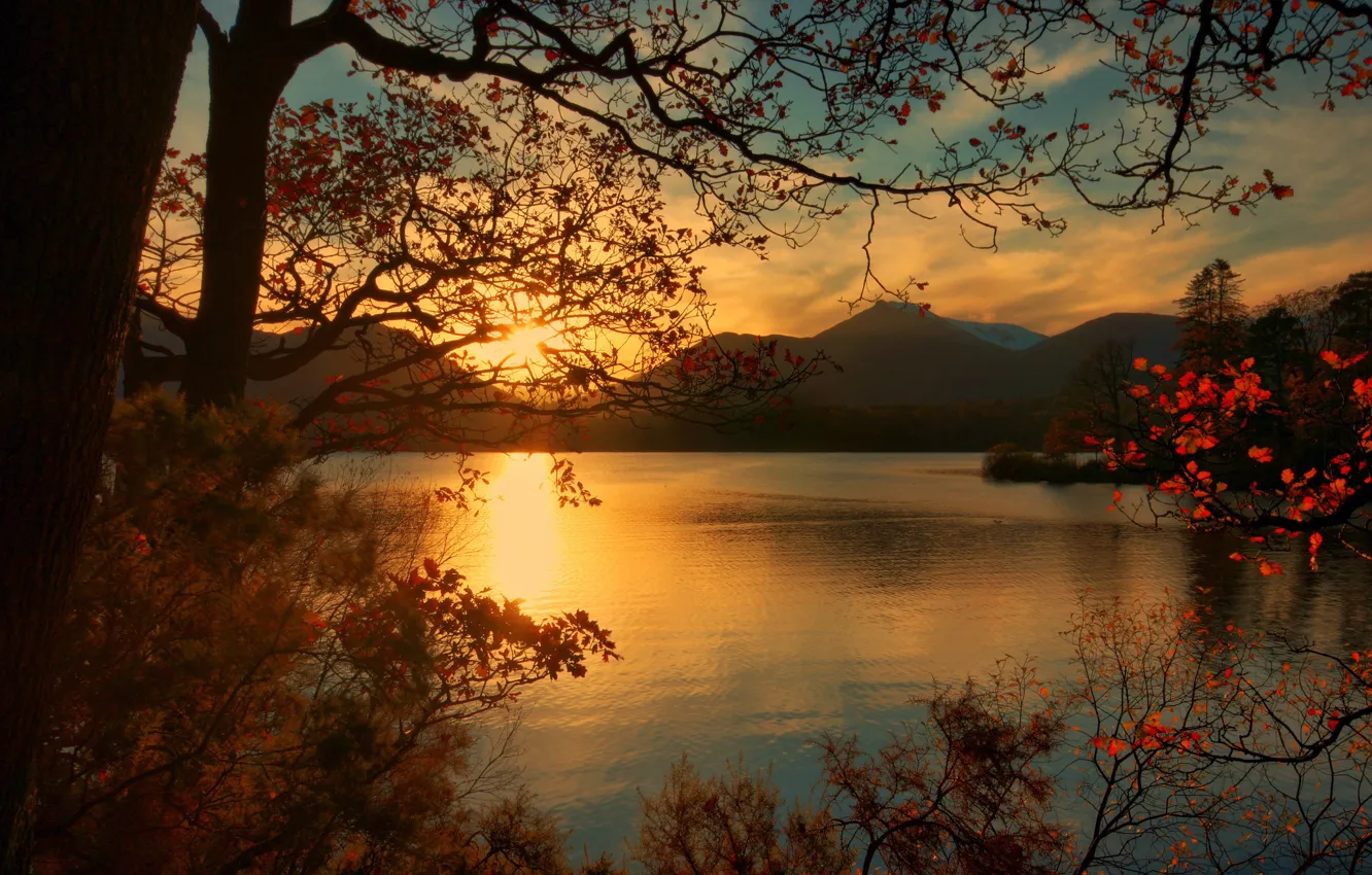 Photo wallpaper autumn, leaves, trees, mountains, lake, dawn