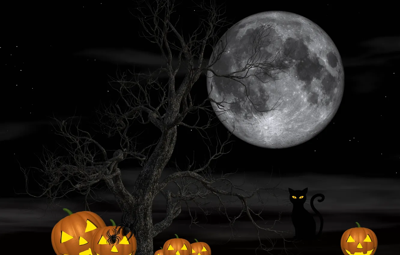 Photo wallpaper cat, night, tree, the moon, spiders, pumpkin, Halloween, 31 Oct