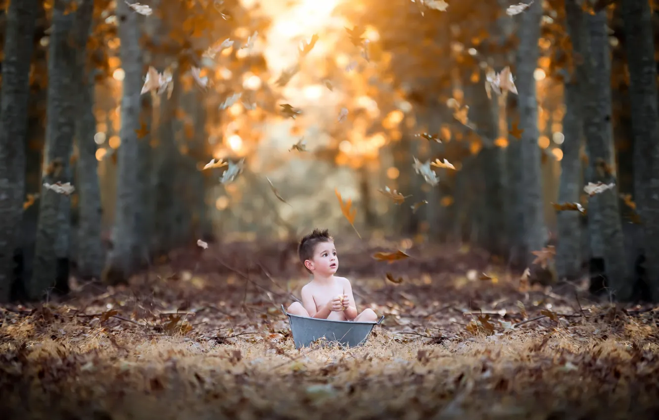Photo wallpaper autumn, nature, boy