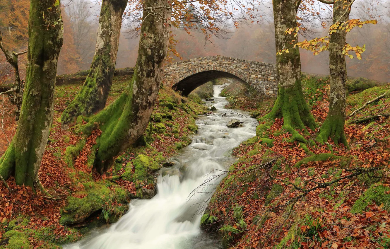 Photo wallpaper autumn, trees, river, river, Spain, Spain, stone bridge, Navarre