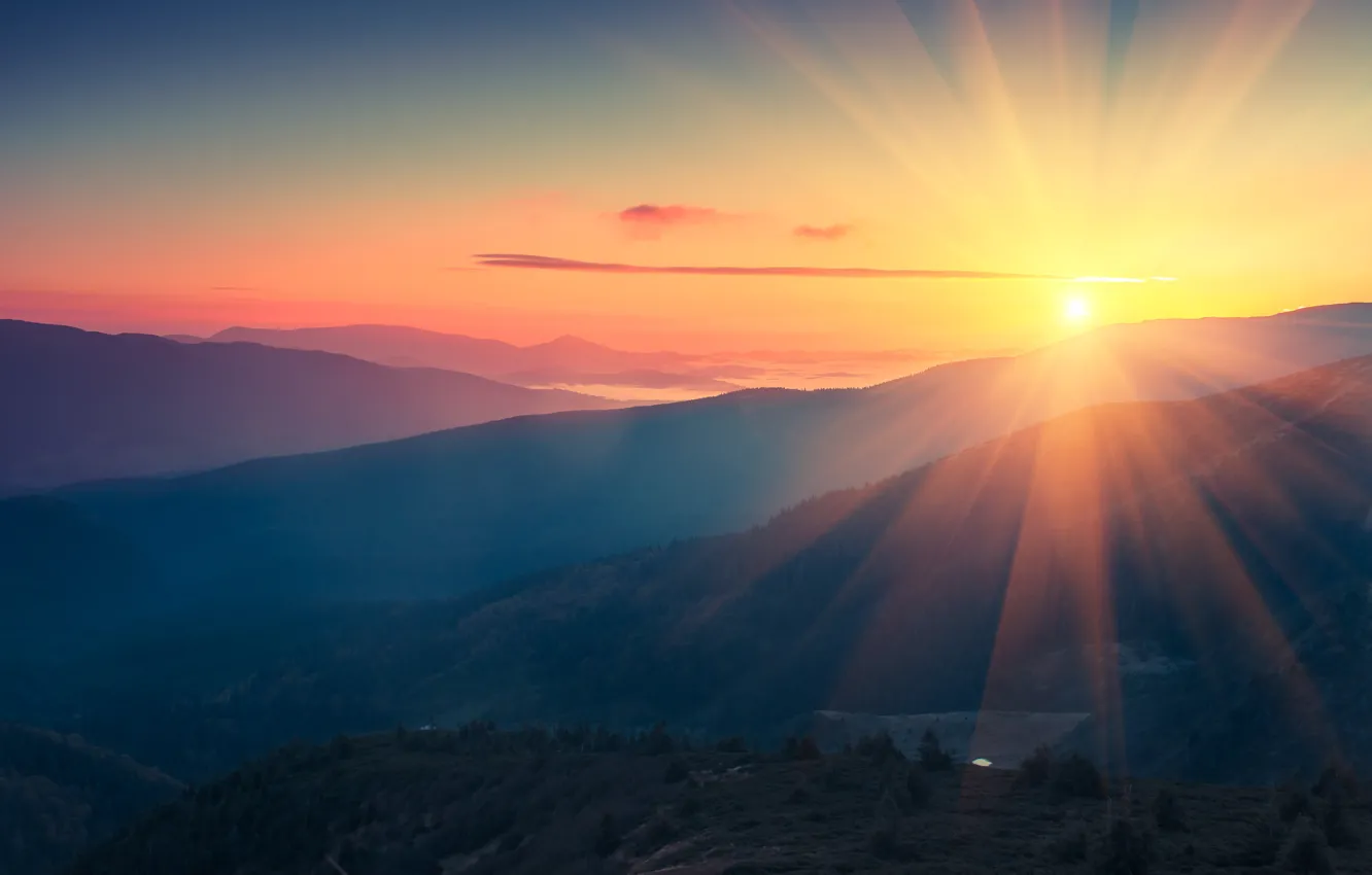 Photo wallpaper forest, the sky, the sun, rays, light, mountains, fog, dawn