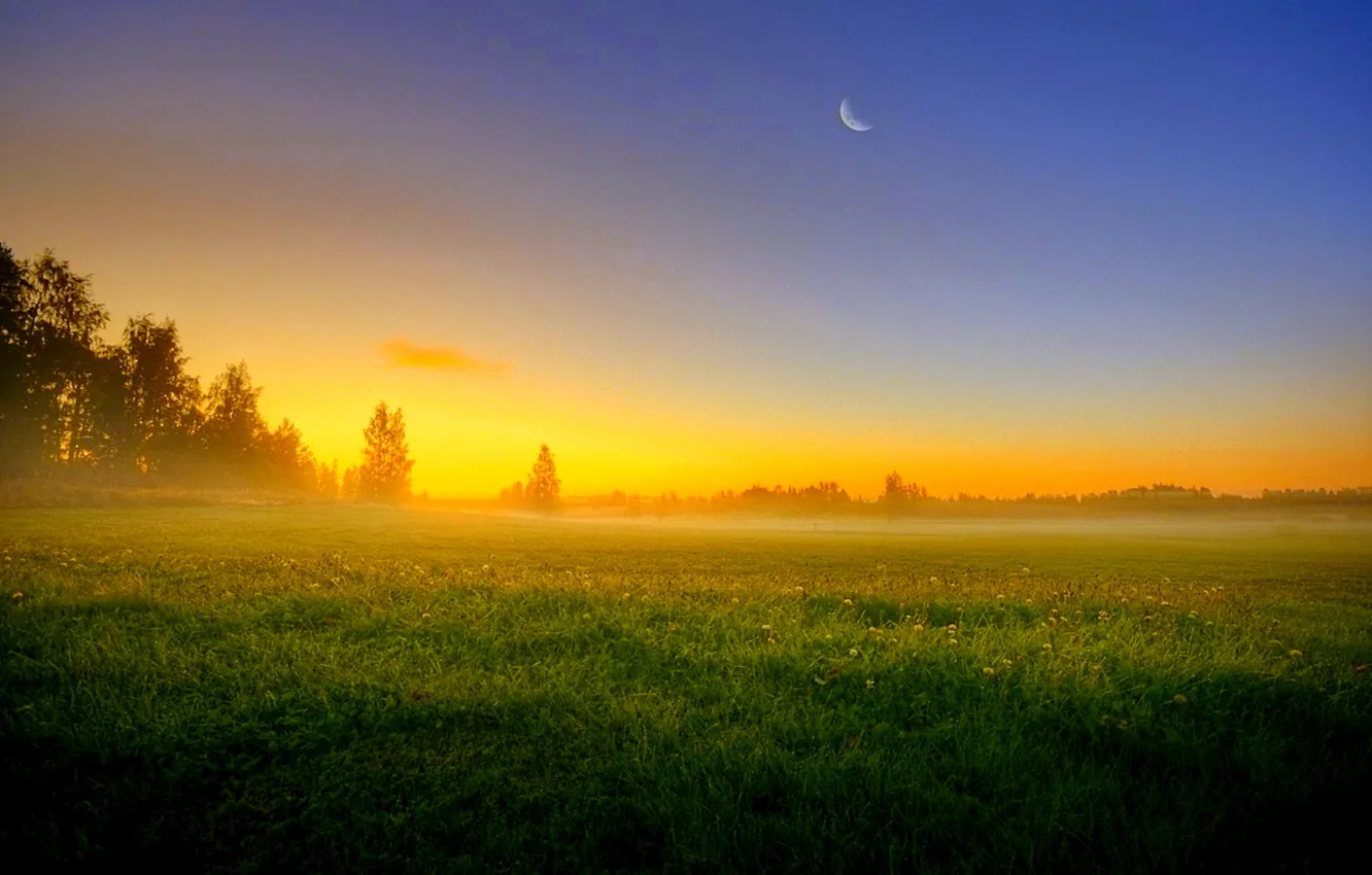 Photo wallpaper field, nature, the evening, haze