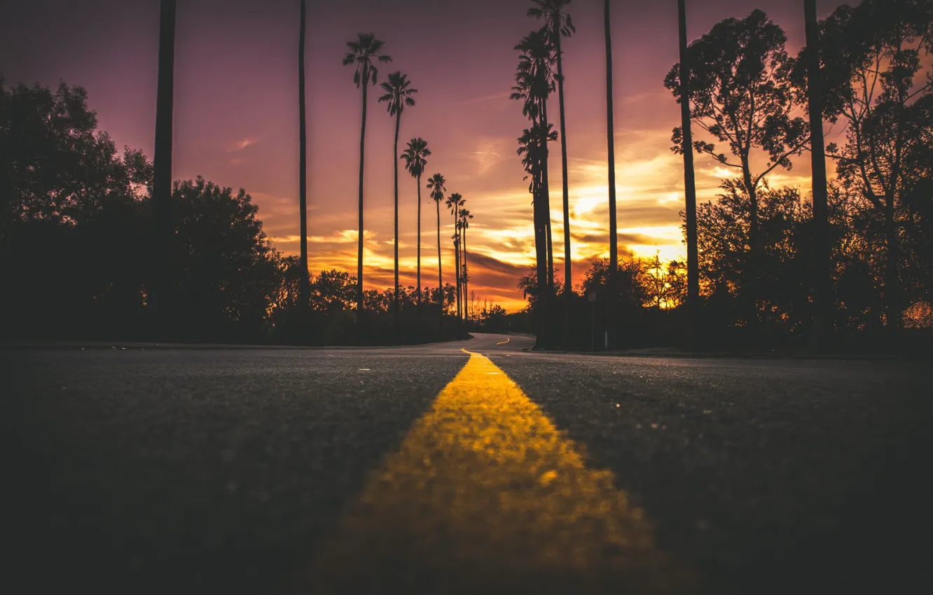 Photo wallpaper road, sunset, palm trees, the evening