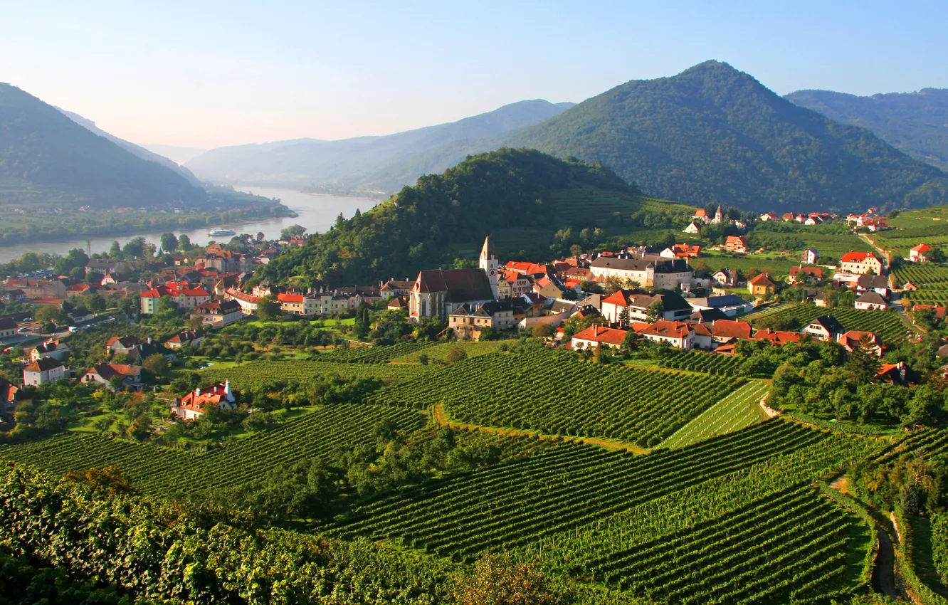 Photo wallpaper field, trees, mountains, river, home, Austria, plantation, Spitz