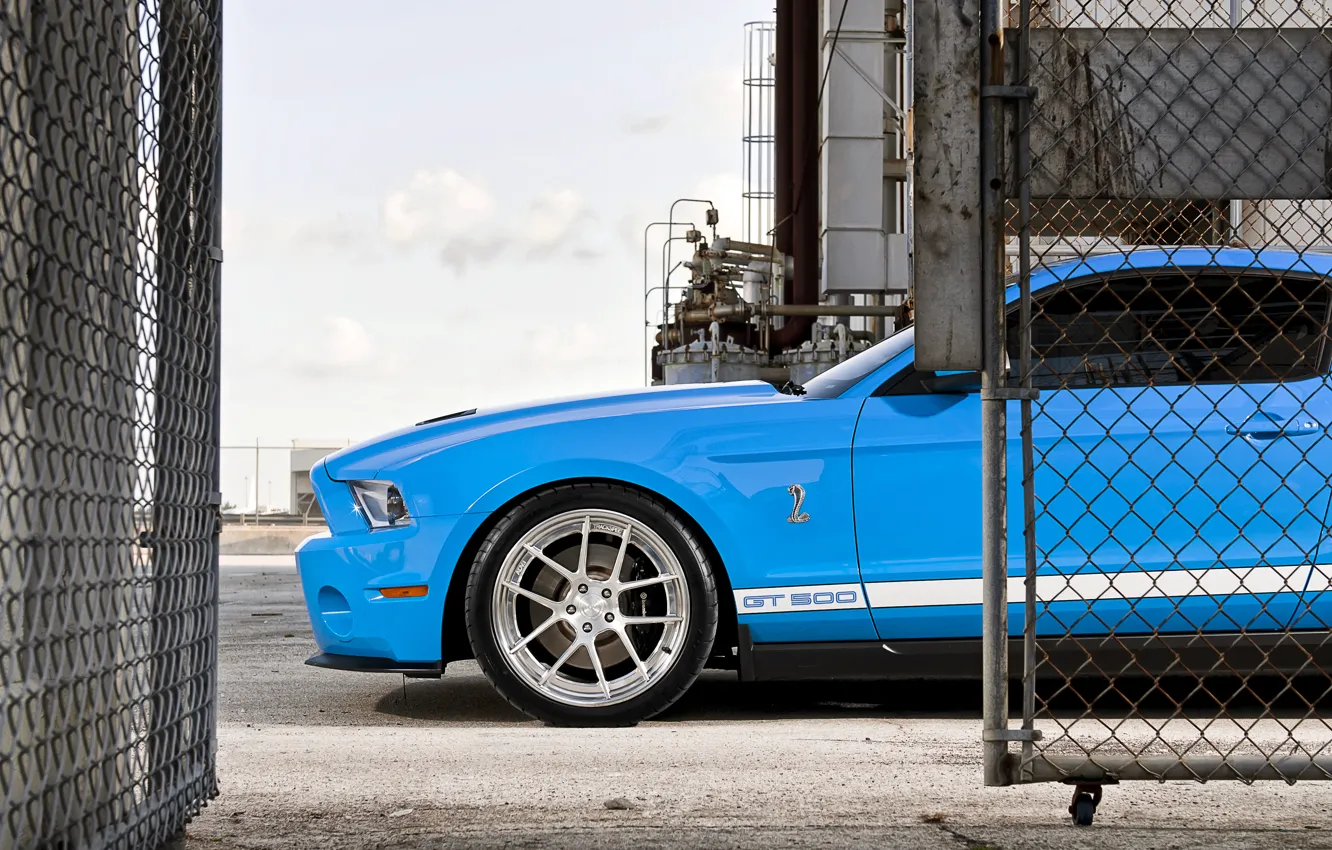 Photo wallpaper mesh, blue, the fence, Mustang, Ford, Shelby, GT500, Mustang