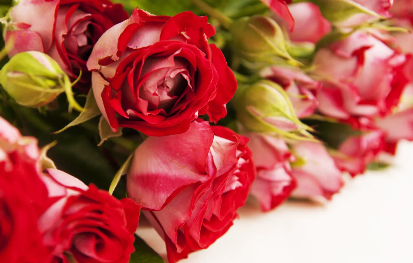 Photo wallpaper red, roses, bouquet
