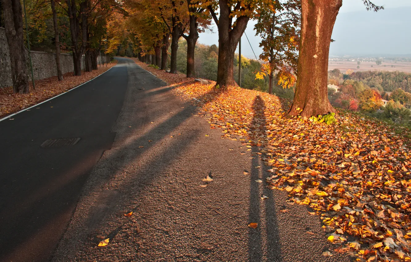 Photo wallpaper Road, Autumn, Shadows, Fall, Foliage, Autumn, Colors, Road