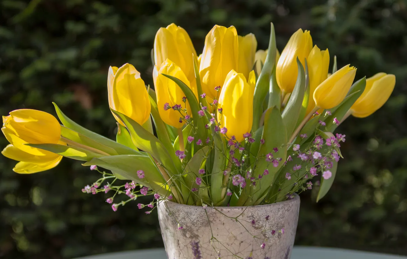 Photo wallpaper bouquet, tulips, vase, buds, yellow tulips, gypsophila