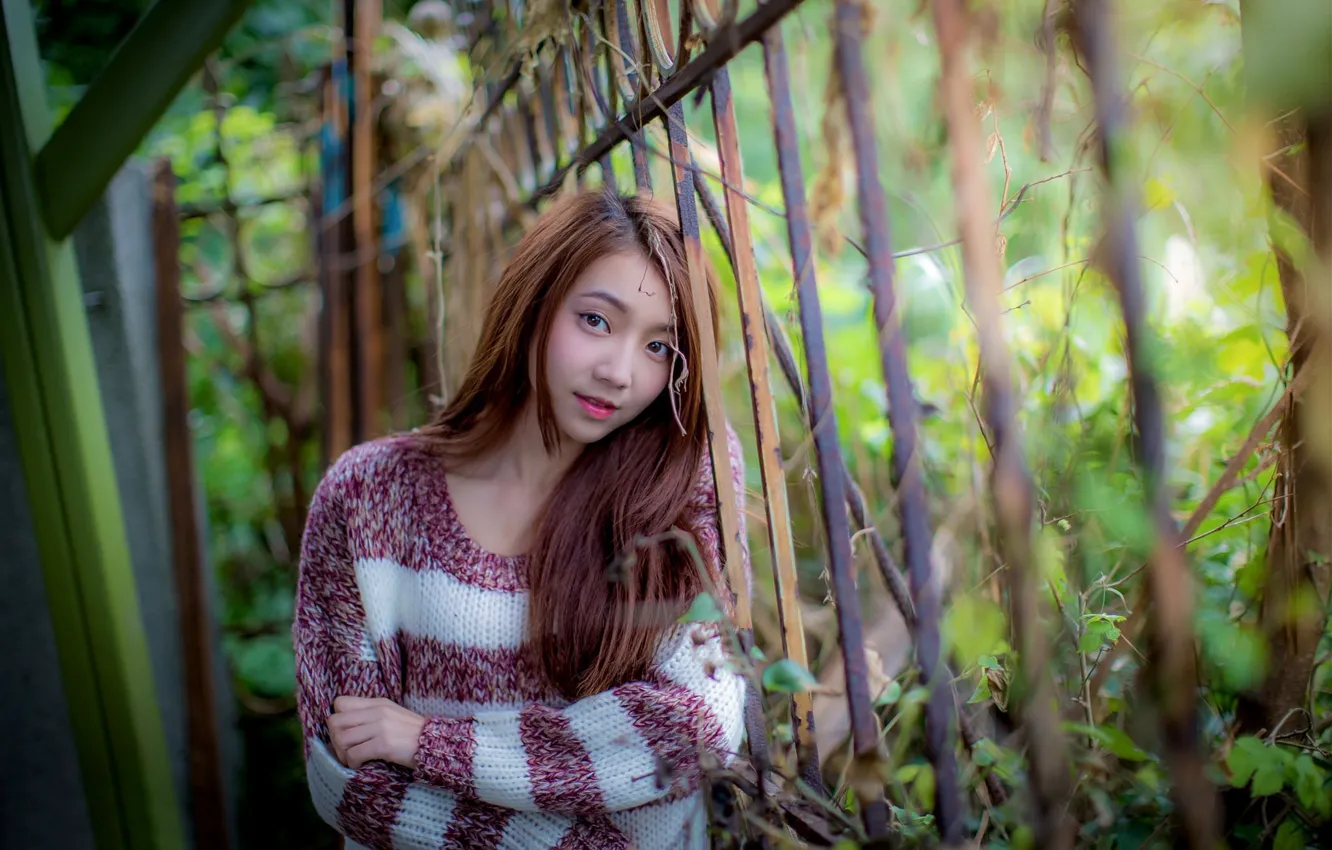 Photo wallpaper look, girl, hair, Asian, sweater