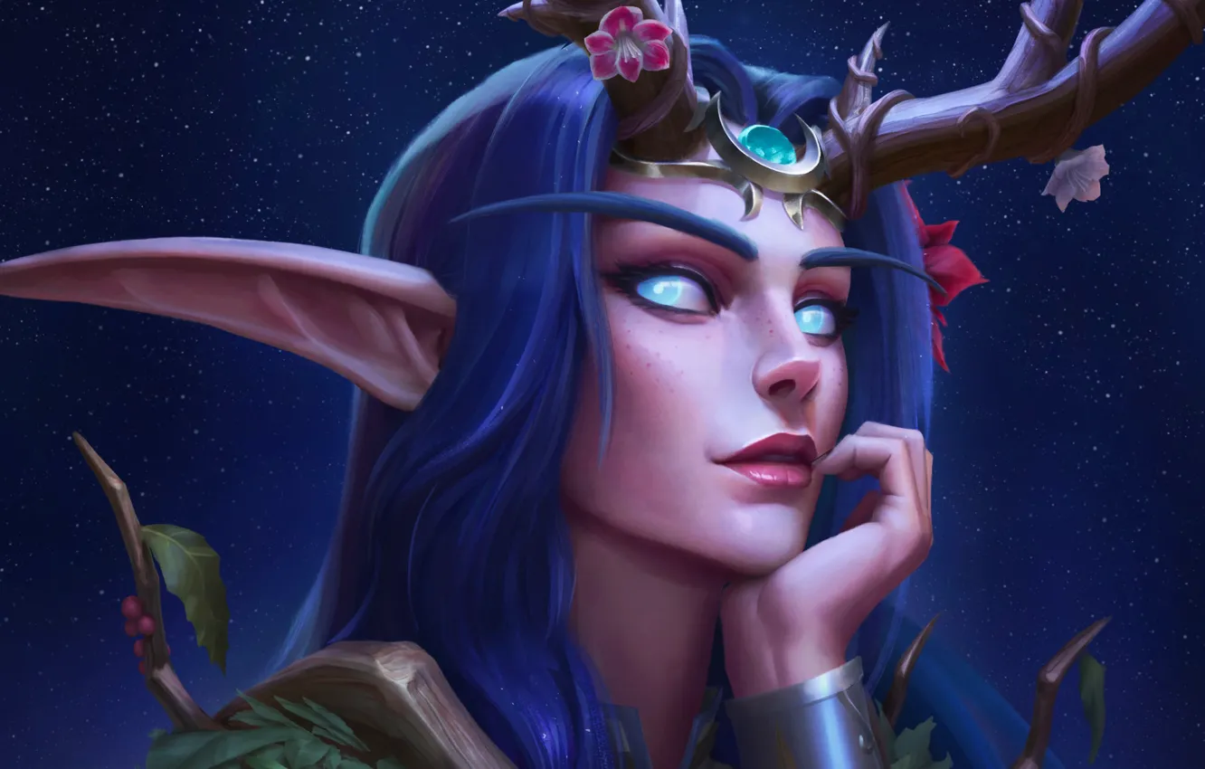 Photo wallpaper night, face, fiction, elf, the game, art, fantasy, Blizzard