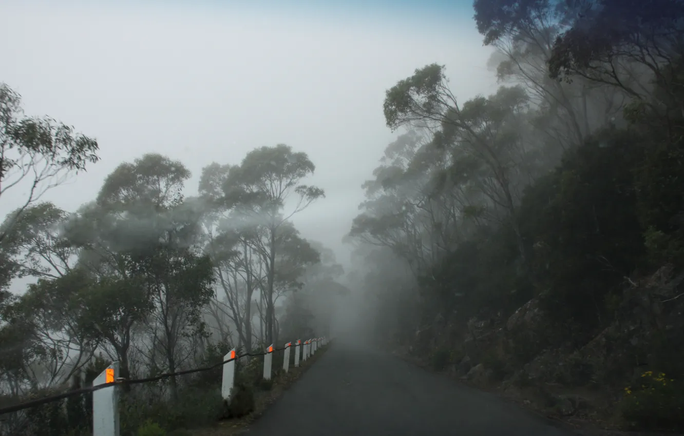 Photo wallpaper Mt Wellington, Tasmania, foggy road