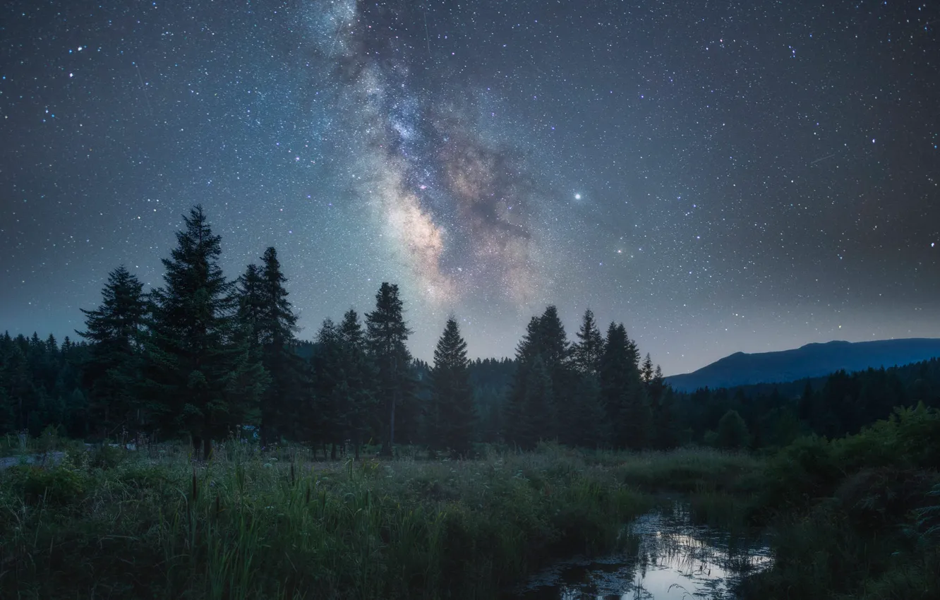 Photo wallpaper forest, summer, the sky, grass, space, stars, mountains, night