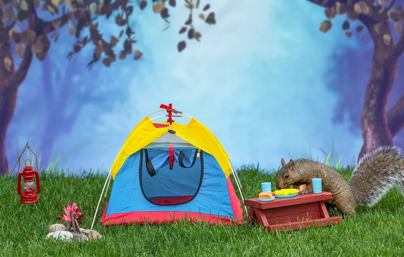 Photo wallpaper forest, grass, trees, nature, pose, fog, Park, grey