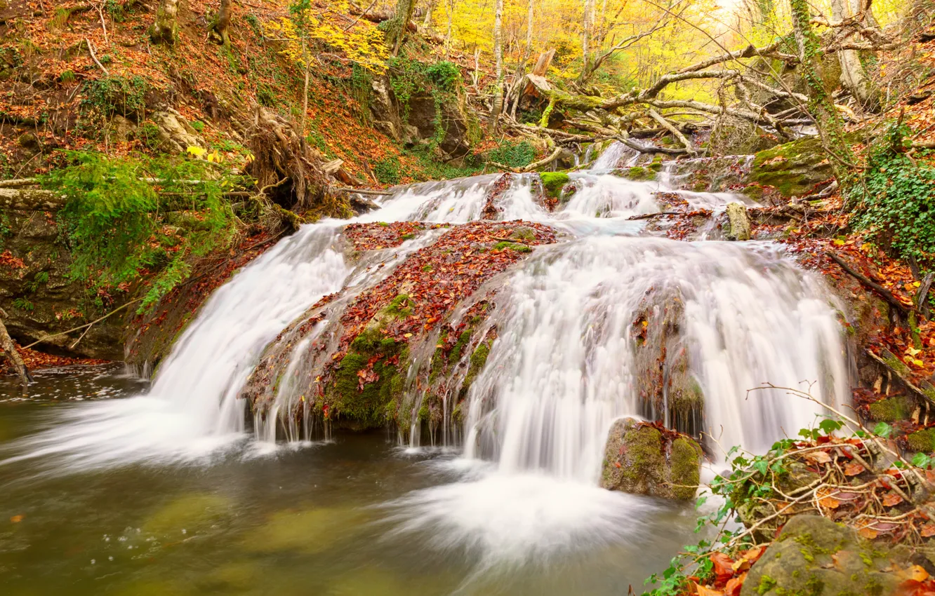 Photo wallpaper autumn, leaves, waterfall, colorful, nature, autumn, leaves, waterfall