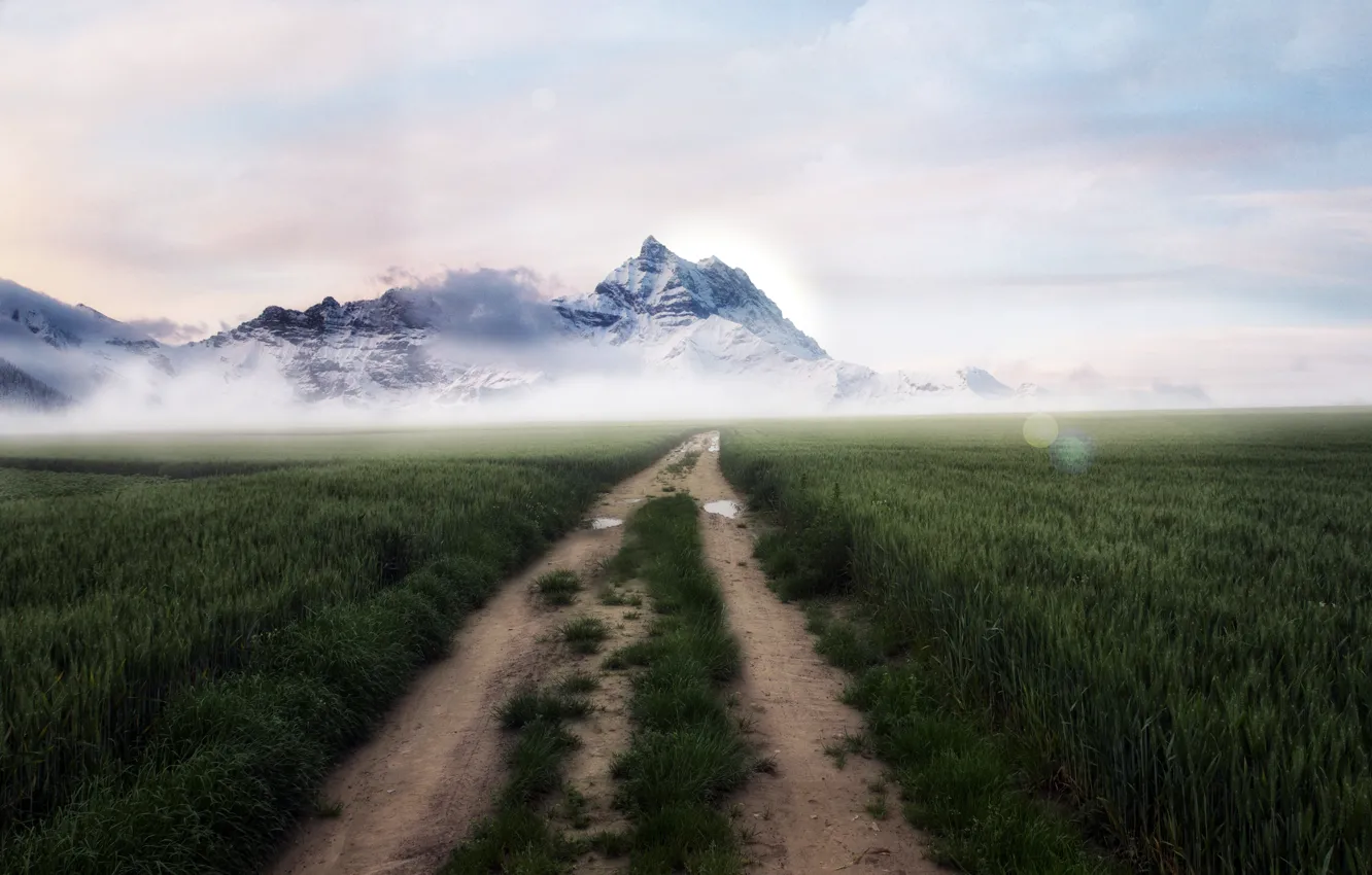 Photo wallpaper road, field, mountains, fog