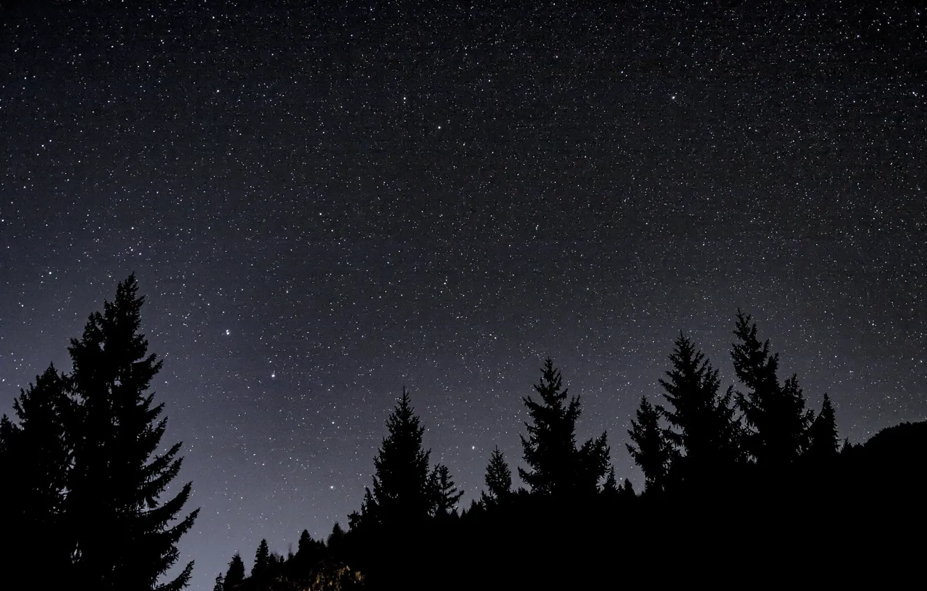 Photo wallpaper the sky, stars, trees, night, nature