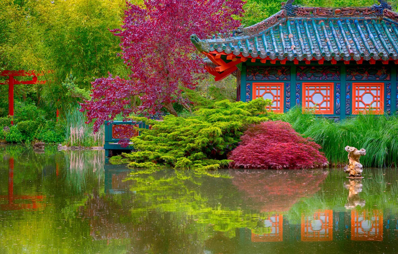 Photo wallpaper grass, trees, pond, garden, reed, house, the bushes