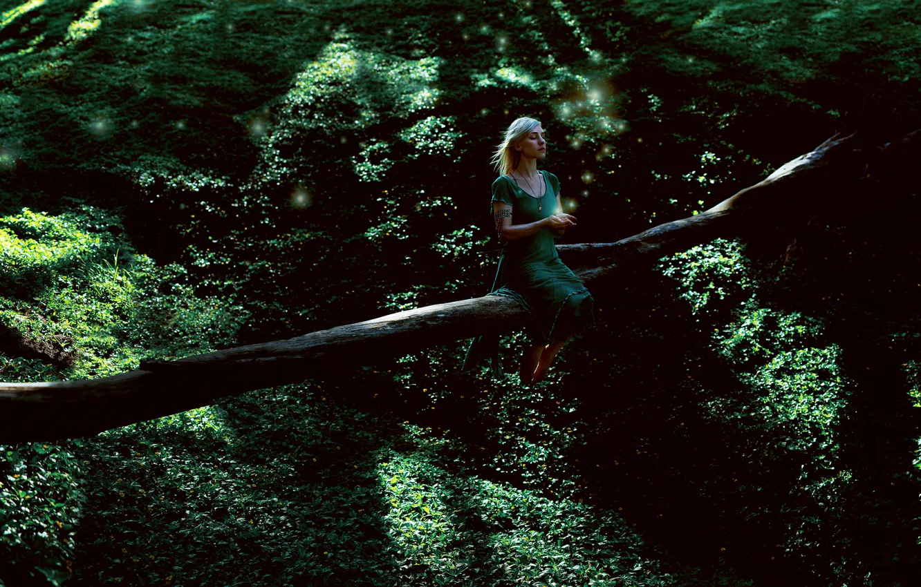 Photo wallpaper greens, forest, girl, tree, dress, sometimes