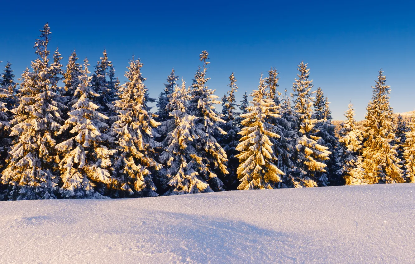 Photo wallpaper the sky, the sun, snow, ate